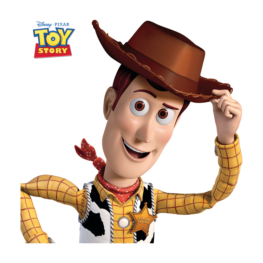 Toy Story Woody Canvas 40x40cm