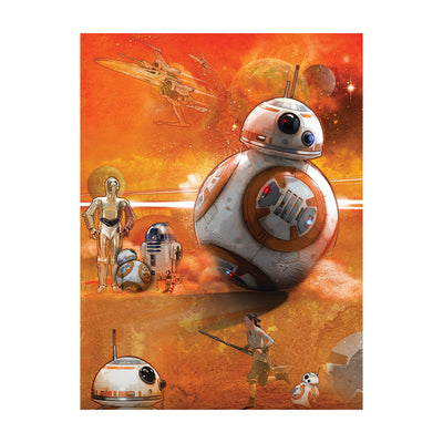 Star Wars Episode VII BB-8 Art Canvas 60x80cm