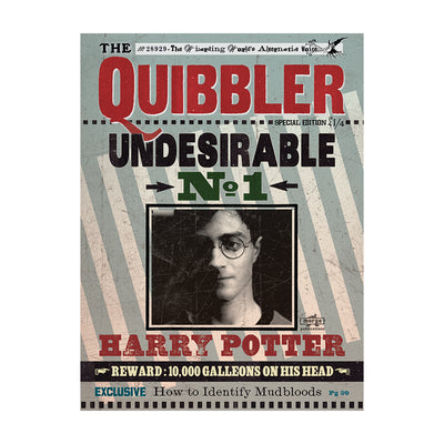 Harry Potter Quibbler Canvas 60x80cm