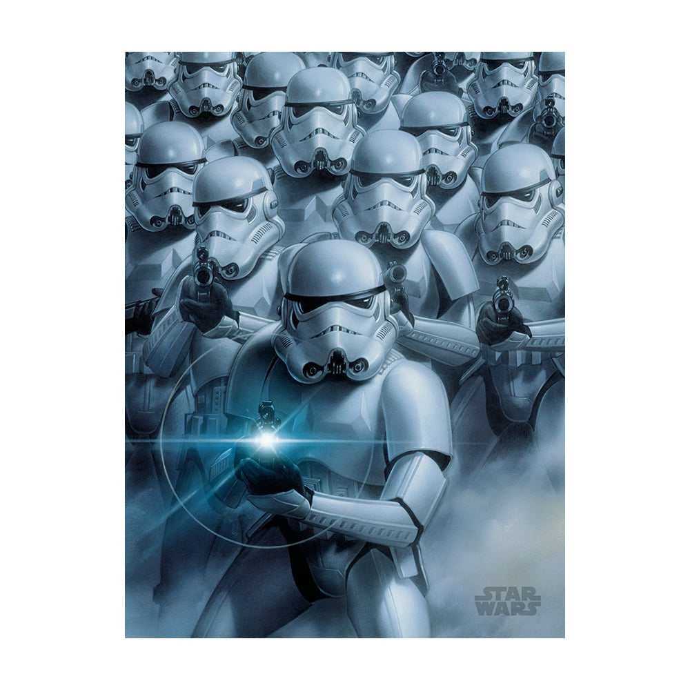 Star Wars Stormtroopers Canvas 60x80cm