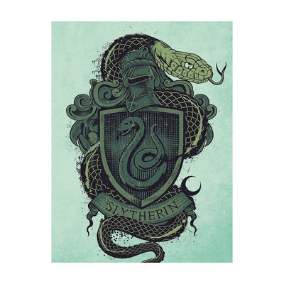 Harry Potter Slytherin Crest Canvas 60x80cm