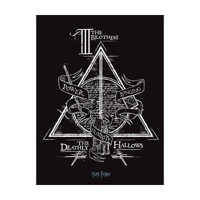 Harry Potter: Deathly Hallows Canvas 60x80cm