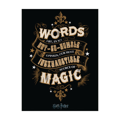 Harry Potter Words Canvas 60x80cm