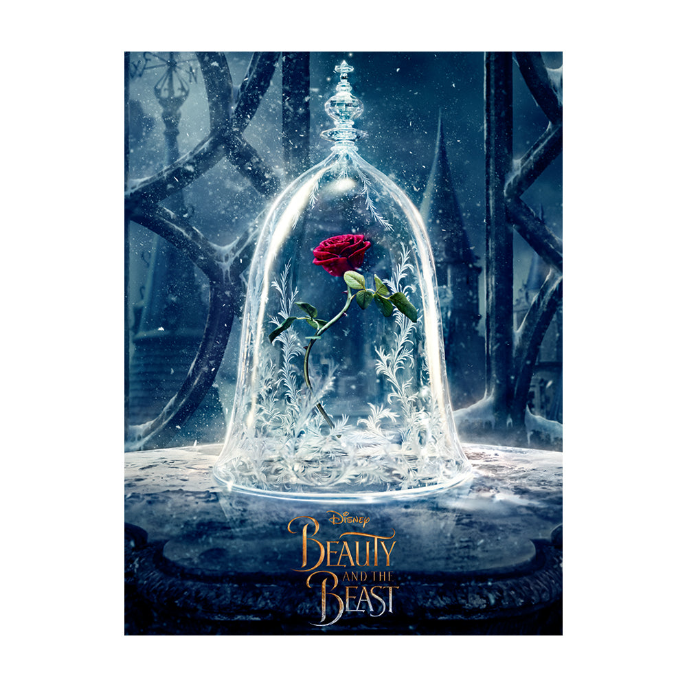 Beauty And The Beast Movie Enchanted Rose Canvas 60x80cm